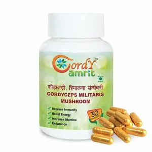 Cordy Amrit Cordyceps Militaris Supplement
